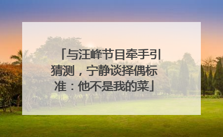 与汪峰节目牵手引猜测，宁静谈择偶标准：他不是我的菜