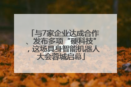 与7家企业达成合作、发布多项“硬科技”，这场具身智能机器人大会蓉城启幕