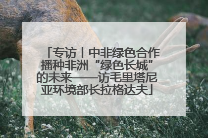 专访丨中非绿色合作播种非洲“绿色长城”的未来——访毛里塔尼亚环境部长拉格达夫
