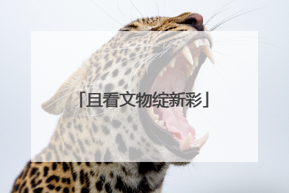 且看文物绽新彩