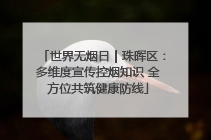 世界无烟日｜珠晖区：多维度宣传控烟知识 全方位共筑健康防线