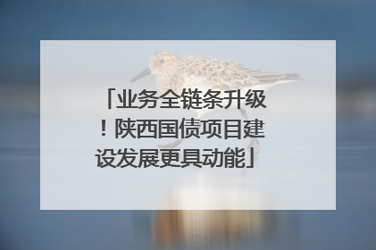 业务全链条升级！陕西国债项目建设发展更具动能