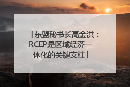 东盟秘书长高金洪：RCEP是区域经济一体化的关键支柱