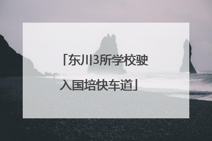 东川3所学校驶入国培快车道