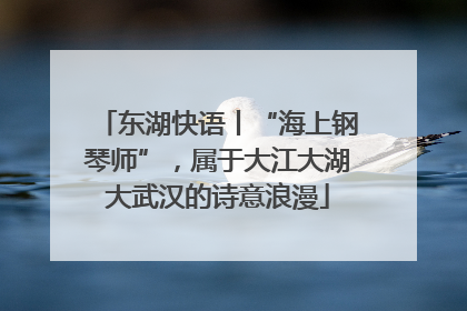 东湖快语丨“海上钢琴师”，属于大江大湖大武汉的诗意浪漫