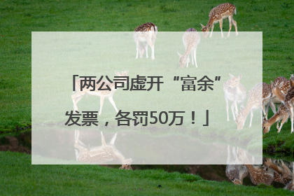 两公司虚开“富余”发票，各罚50万！