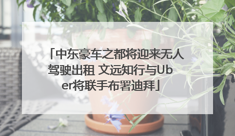 中东豪车之都将迎来无人驾驶出租 文远知行与Uber将联手布署迪拜