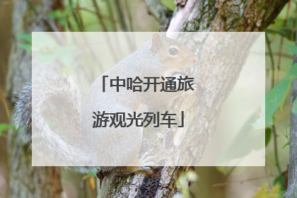中哈开通旅游观光列车