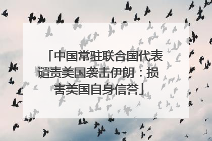 中国常驻联合国代表谴责美国袭击伊朗：损害美国自身信誉