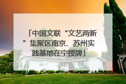 中国文联“文艺两新”集聚区南京、苏州实践基地在宁授牌