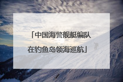 中国海警舰艇编队在钓鱼岛领海巡航