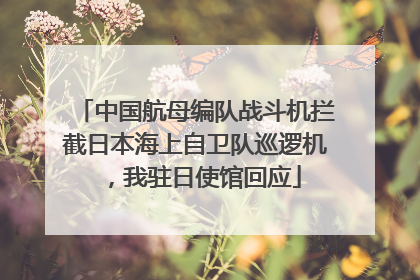 中国航母编队战斗机拦截日本海上自卫队巡逻机，我驻日使馆回应