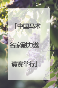 中国马术名家耐力邀请赛举行