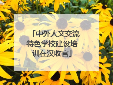 中外人文交流特色学校建设培训在汉收官