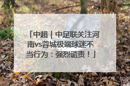 中超｜中足联关注河南vs蓉城极端球迷不当行为：强烈谴责！