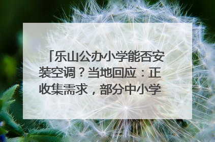 乐山公办小学能否安装空调？当地回应：正收集需求，部分中小学已启动安装｜云求助