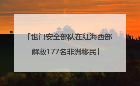 也门安全部队在红海西部解救177名非洲移民