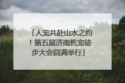 人宠共赴山水之约！第五届济南携宠徒步大会圆满举行