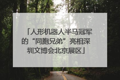 人形机器人半马冠军的“同胞兄弟”亮相深圳文博会北京展区