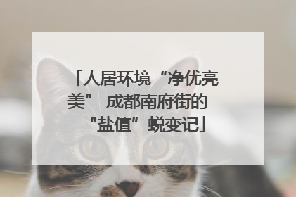 人居环境“净优亮美” 成都南府街的“盐值”蜕变记