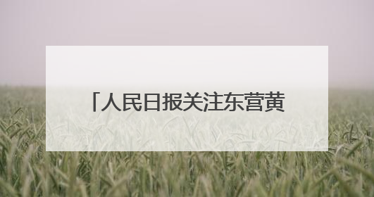 人民日报关注东营黄河口候鸟栖息地：更多飞鸟在这里安家