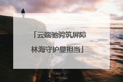 云端驰骋筑屏障 林海守护显担当