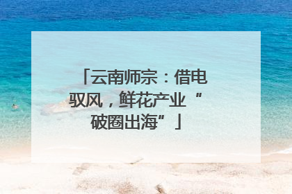 云南师宗：借电驭风，鲜花产业“破圈出海”