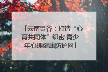 云南景谷：打造“心育共同体”织密 青少年心理健康防护网