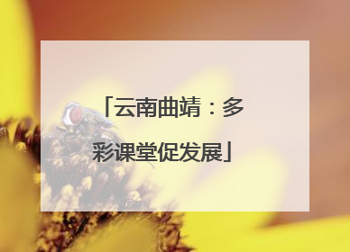 云南曲靖：多彩课堂促发展