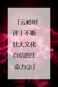 云岭时评丨不断壮大文化自信的生命力②