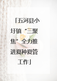 五河县小圩镇“三聚焦”全力推进夏种夏管工作