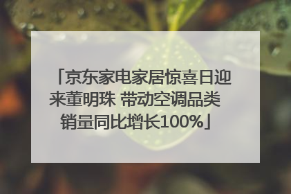 京东家电家居惊喜日迎来董明珠 带动空调品类销量同比增长100%