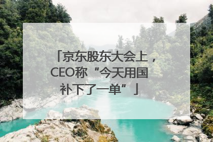 京东股东大会上，CEO称“今天用国补下了一单”
