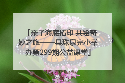 亲子海底拓印 共绘奇妙之旅——县珠泉完小举办第299期公益课堂