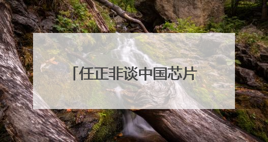 任正非谈中国芯片，外媒争相解读