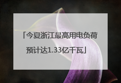 今夏浙江最高用电负荷预计达1.33亿千瓦