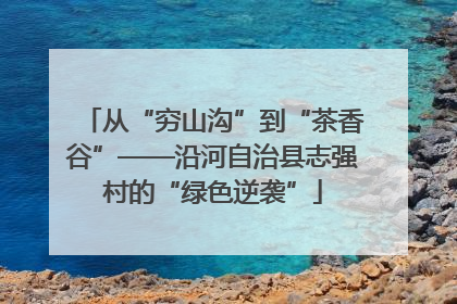 从“穷山沟”到“茶香谷”——沿河自治县志强村的“绿色逆袭”