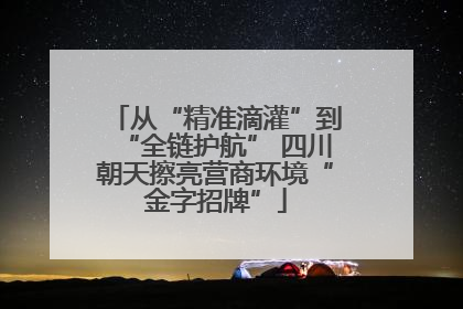 从“精准滴灌”到“全链护航” 四川朝天擦亮营商环境“金字招牌”