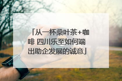 从一杯桑叶茶+咖啡 四川乐至如何端出助企发展的诚意