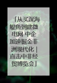 从买深海鳀鱼到建微电网 中企加速掘金非洲现代化｜直击中非经贸博览会