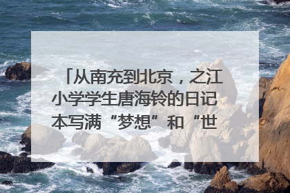 从南充到北京，之江小学学生唐海铃的日记本写满“梦想”和“世界”｜您牵挂的四川