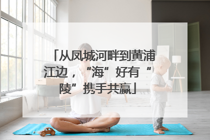 从凤城河畔到黄浦江边，“海”好有“陵”携手共赢