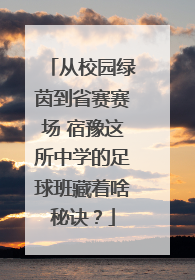 从校园绿茵到省赛赛场 宿豫这所中学的足球班藏着啥秘诀？