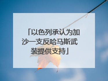 以色列承认为加沙一支反哈马斯武装提供支持