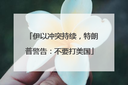 伊以冲突持续，特朗普警告：不要打美国
