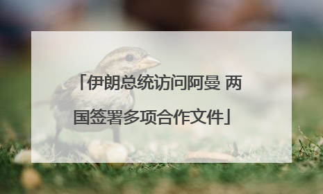 伊朗总统访问阿曼 两国签署多项合作文件