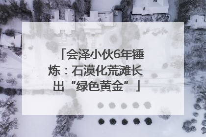 会泽小伙6年锤炼：石漠化荒滩长出“绿色黄金”
