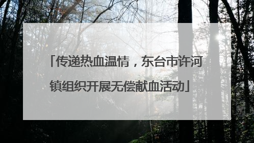 传递热血温情，东台市许河镇组织开展无偿献血活动