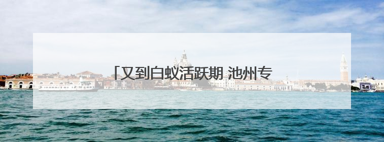 又到白蚁活跃期 池州专业防治人员教你如何应对