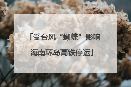 受台风“蝴蝶”影响 海南环岛高铁停运
